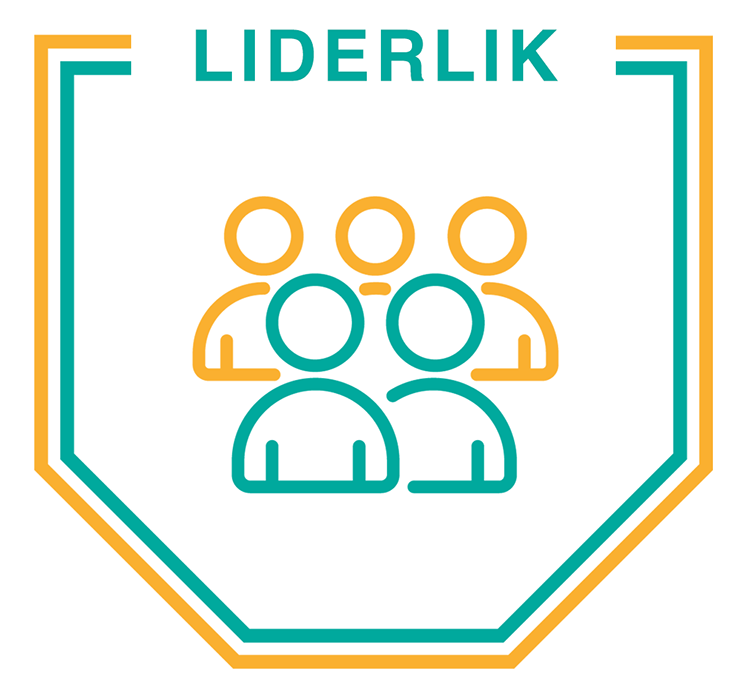 Child Protection Leadership - TURKISH