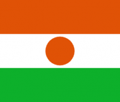 Niger Flag